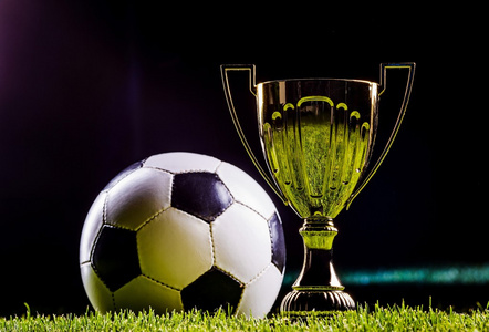 佩德里和加 佩德里和加